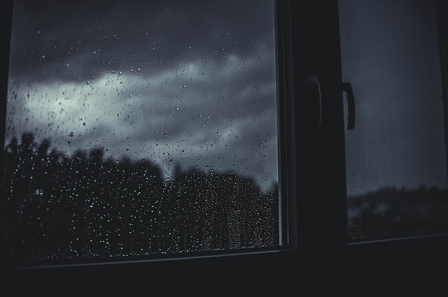 It Rained that Night by Shalini Das